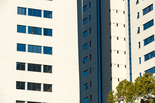 Minimal office facade arranges blue window bands with sharp shadow and tree