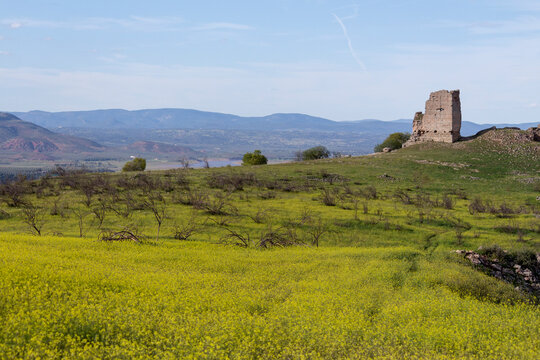 Paisaje lleno de flores y arbustos junto al castillo del Giribaile en Ja&eacute;n