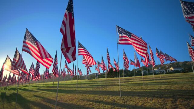 Rows of American flags wave gracefully on metal poles across a sunlit grass field during golden hour, casting long shadows as hills and buildings frame the patriotic memorial under vivid blue skies.