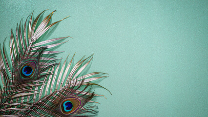 Feathers from peacocks arranged on a bright background display vivid patterns and colors in a close-up view © Fleuronica