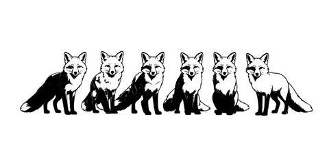 Fototapeta premium Foxes Sitting in a Row with Different Fur Patterns and Colors Featuring Black, White, Brown with Illustration and Animals Elements for Wildlife,