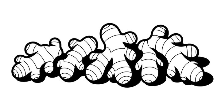 Ginger Root Illustration with Segmented Texture and Natural Shape Featuring Plant, Herb, Spice with Cooking and Culinary Elements for Food, Vegetable