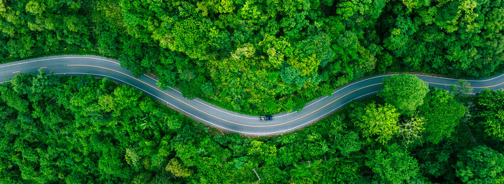Green tropical forest with winding road and cars driving through nature. Strong visual metaphor for clean mobility, sustainable transport and future oriented economic growth.