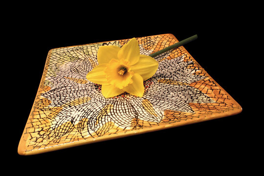 Yellow Daffodil on Plate 01
