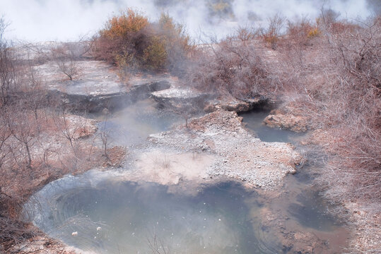 Rotorua, New Zealand: Elevated view of hot thermal pools at Te Puia nestled in rugged white silica sinter terraces with active volcanic steam vapor.