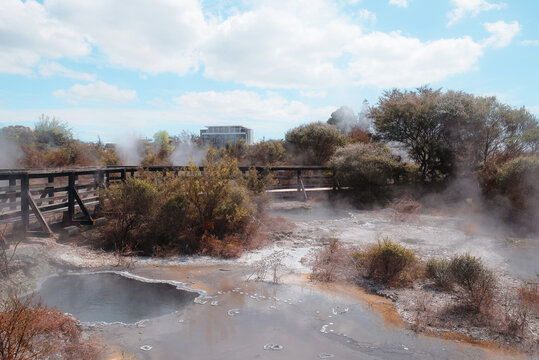 Rotorua, New Zealand: Wide sunny day view of a tourist wooden boardwalk path crossing a volcanic thermal field with hot steam vents at Te Puia.