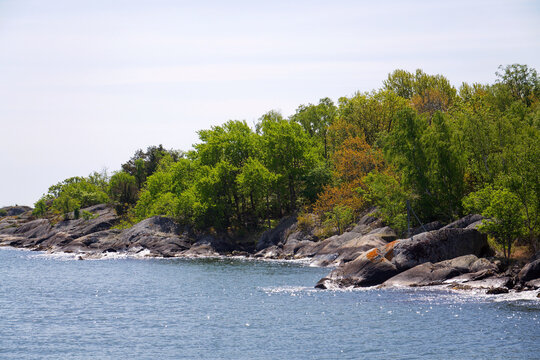 Beautiful trees and rocks on shore of Gothenburg archipelago islands, Gothenburg Minucipality, Vastra Gotaland County, Sweden, sunny day