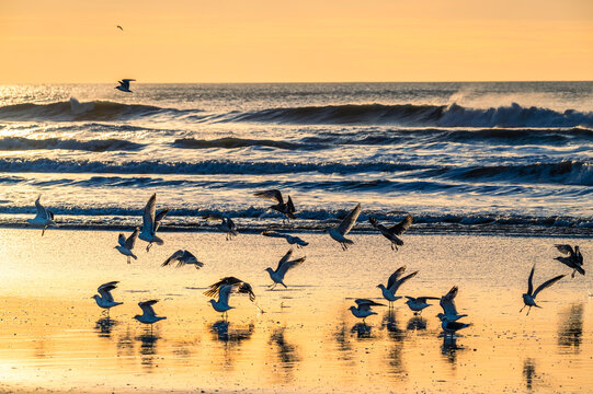 La plage de Quend-Plage