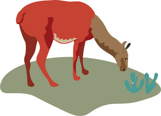 Cute llama standing near cactus and eating illustration © Юля Люта
