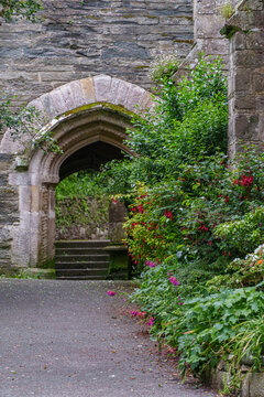 Fr&uuml;hling in Cornwall