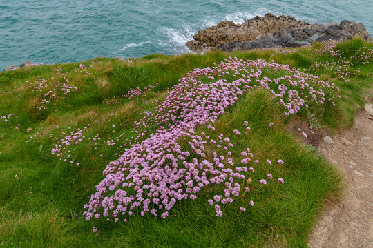Newquay an der K&uuml;ste von Cronwall