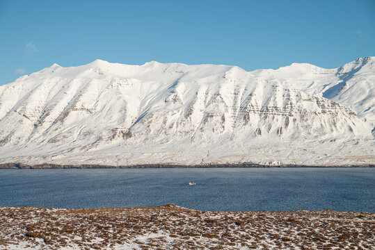 tourist boat sailing in Eyjafjordur in Iceland