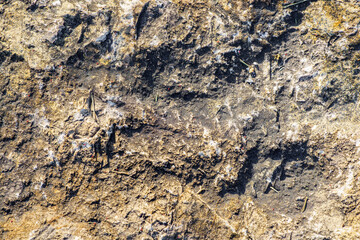 Surowa, mocno teksturowana powierzchnia skały lub ciemnej gleby z pęknięciami. Naturalne tło geologiczne w odcieniach brązu, szarości i ochry. Koncepcja materiału, ziemi i struktury. © Henryk Niestrój