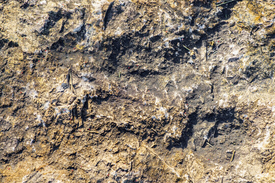 Surowa, mocno teksturowana powierzchnia skały lub ciemnej gleby z pęknięciami. Naturalne tło geologiczne w odcieniach brązu, szarości i ochry. Koncepcja materiału, ziemi i struktury.