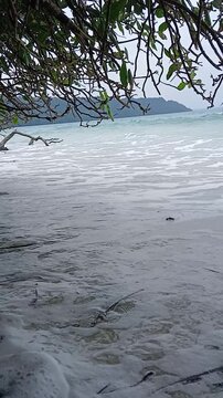 Radhanagar Beach Landscape with Driftwood Branch on Sandy Shore and Sea Waves, Havelock Island, Andaman and Nicobar Islands, India.