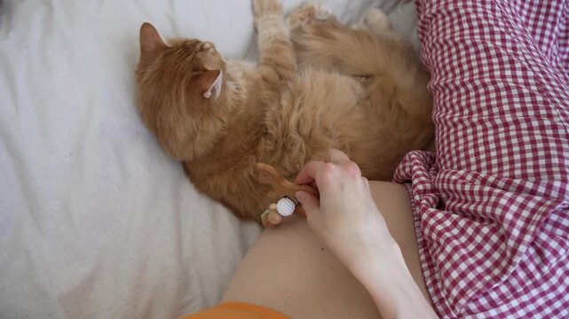 Pregnant woman resting in bed with her fluffy ginger cat, gently moving a baby teether toy over her belly, symbolizing the loving connection between family, pets, and the unborn child