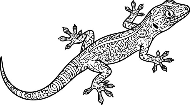 Black and White Gecko Vector Illustration Outline Design
