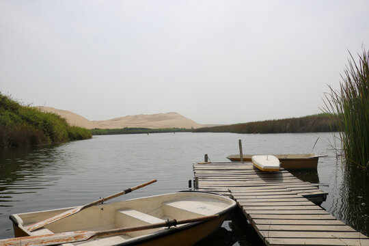 Quiet Dock on the Oasis Lagoon