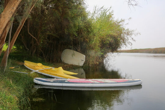 Paddleboards Along the Waterway