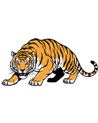 Obraz premium Crouching Tiger Illustration - Aggressive Prowling Big Cat Mascot