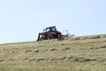 a farmer is tedding hay at rows at a steep dike with a tractor with a tedder closeup in springtime © Angelique