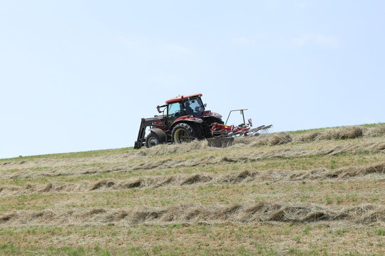 a farmer is tedding hay at rows at a steep dike with a tractor with a tedder closeup in springtime