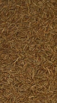Top view macro shot of a heap of raw organic cumin seeds rotating slowly. Premium aromatic spice texture background