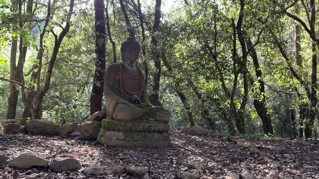 Estatua de Buda en un bosque mediterr&aacute;neo con atm&oacute;sfera contemplativa &mdash; v&iacute;deo 4K iPhone 17 Pro Apple ProRes