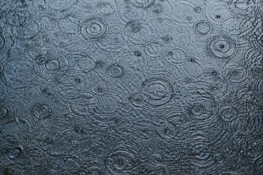 夏の強い雨が水面に作り出す無数の円い波紋