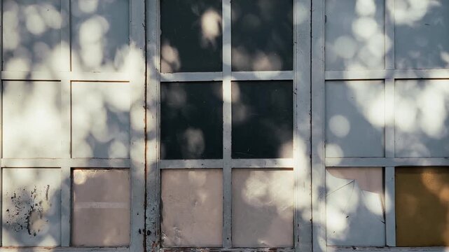 Aged white painted window frame with multiple glass pane, some broken or boarded, dappled bokeh shadow from leaf cast across the surface in soft light