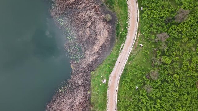 Drone gliding over lake with path and leaves