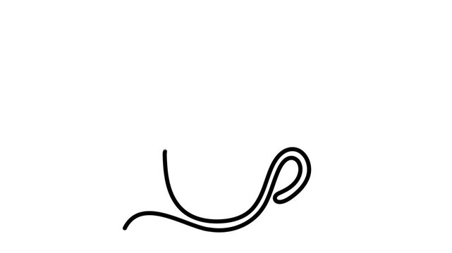 Minimalist continuous line drawing animation of coffee cup with heart shaped steam on white background.