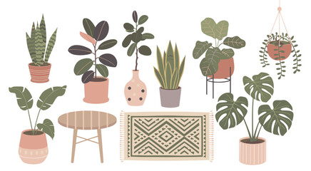 Collection of potted houseplants and home decor in a flat style potted plants snake plant rubber plant © Siddhartha