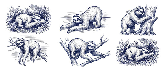 Fototapeta premium Sloth vintage engraving illustration set of cute wild animals climbing, hanging, and sleeping on tree branches with tropical leaves, rustic line art drawing vector for retro wildlife design.