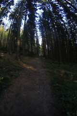 Fototapeta premium Czech Republic in Autumn wide angle fisheye lens