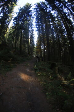 Czech Republic in Autumn wide angle fisheye lens