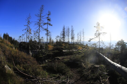 Rocks in czech republic, mount Osta&scaron; autumn sunny day