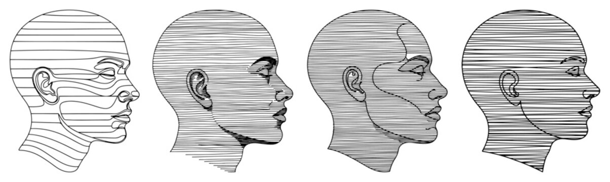 Human head profile set showing facial anatomy through topographic horizontal lines and parallel strokes