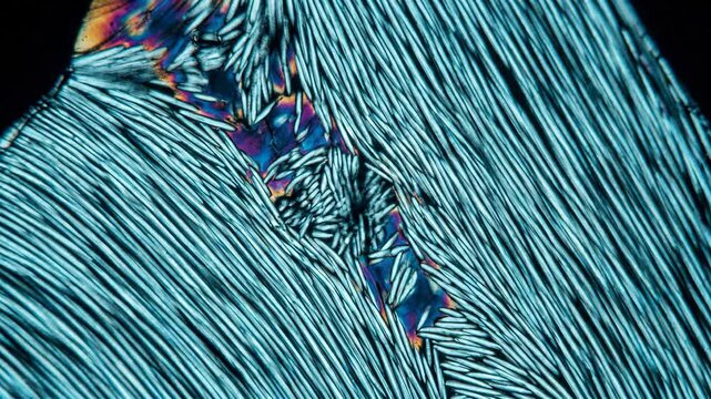Nematic Liquid Crystal Birefringence Texture &mdash; Polarized Light Microscopy Domain Boundary, Iridescent Interference Colors