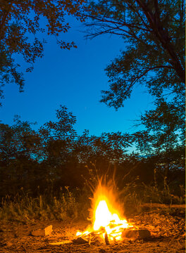 closeup camp fire on the forest glade at the twilight, summer night camping scene