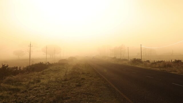 fog settling on highway at sunrise, Stanford, South Africa