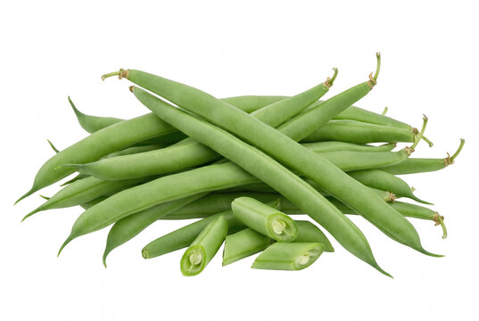 Fresh organic green beans whole and sliced