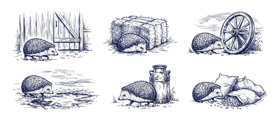 Hedgehog vintage sketch farm illustration set featuring six rustic hand-drawn ink drawings of wild hedgehogs in countryside barn scenes with hay bale, wagon wheel, milk can, puddle, and grain sacks. © Dinali
