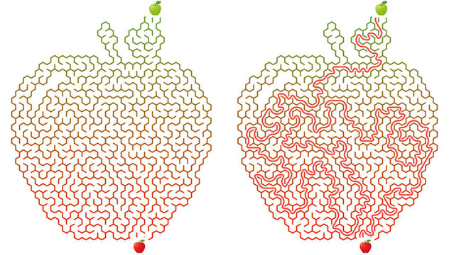 Apple shaped hexagonal maze puzzle set with solution. Fruit masked honeycomb labyrinth on transparent background. Educational worksheet page with red path.