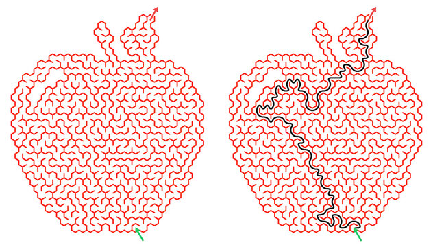 Apple shaped hexagonal maze puzzle set with solution. Fruit masked honeycomb labyrinth Cyberpunk educational worksheet with red path.