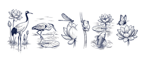 Japanese pond line art set featuring vintage sketch illustrations of traditional cranes, koi fish, climbing frog, dragonfly and lotus flowers in elegant oriental style for zen home decor patterns art. © Dinali