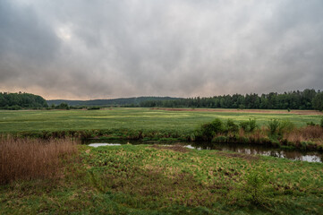 Fototapeta premium Suprasl River Landscape with Meadow and Forest in Poland