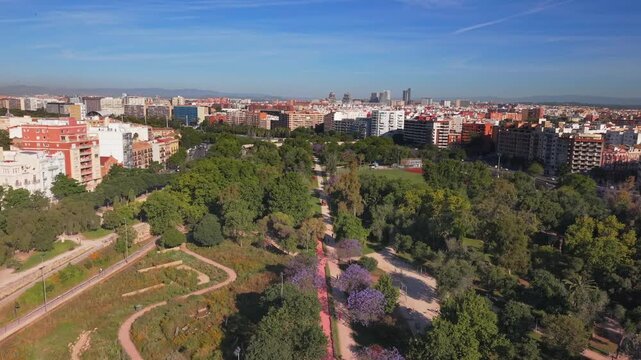 VALENCIA, SPAIN Aerial view of the Turia Gardens riverbed park featuring lush green trees, walking paths, and sports facilities under a clear blue sky