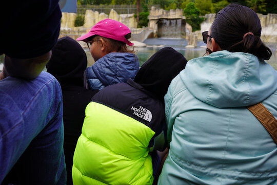 BEAUVAL, FRANCE - MAY 13, 2026: The North Face brand logo on a black jacket at ZooParc de Beauval.