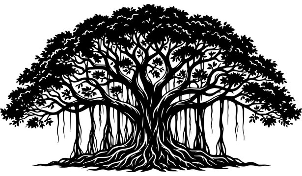 Banyan tree silhouette vector illustration with detailed tropical root structure